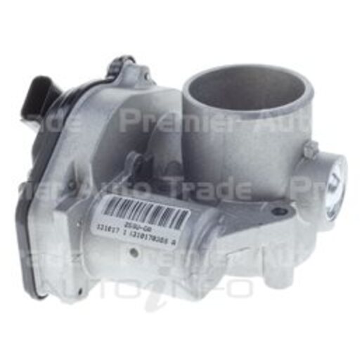 Fuel Injection Throttle Body