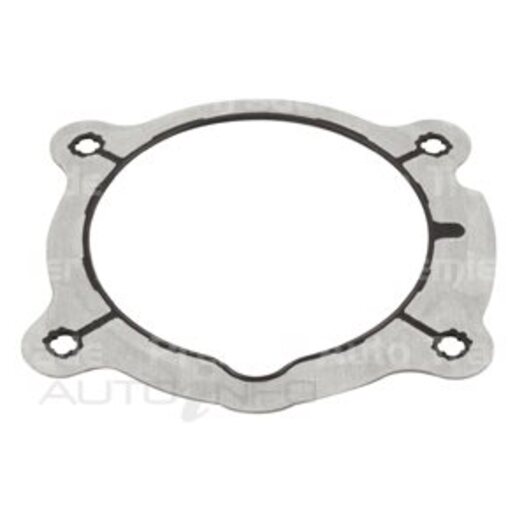 PAT Premium Gasket - MIS-081