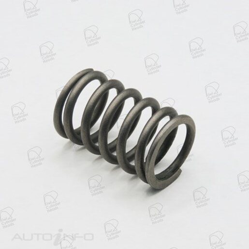 Valve Spring