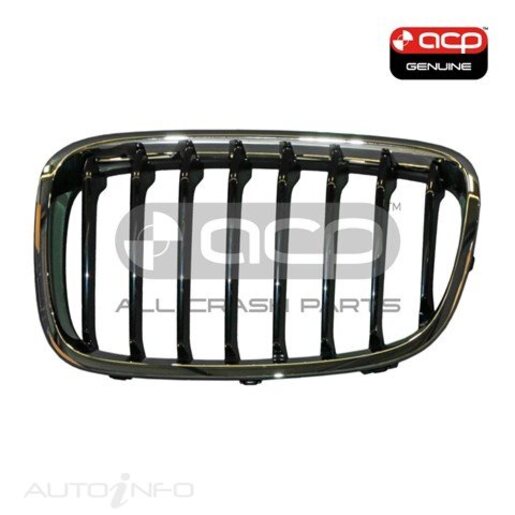 GrilleHeadlight Rim