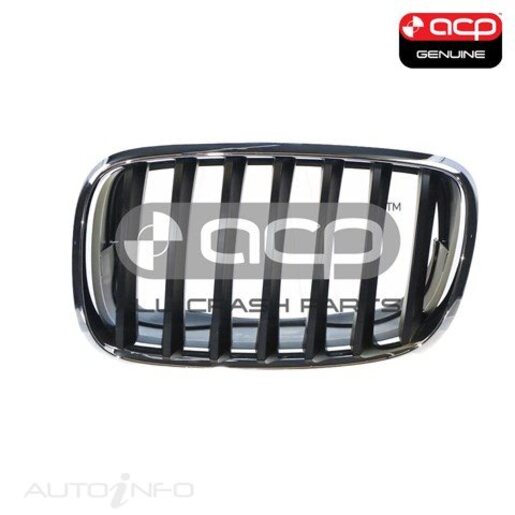 GrilleHeadlight Rim