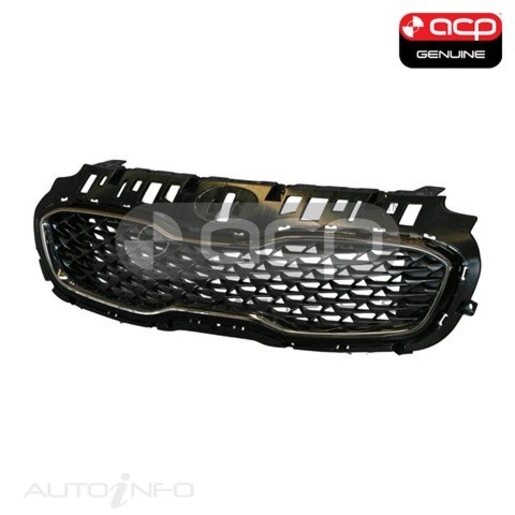 GrilleHeadlight Rim