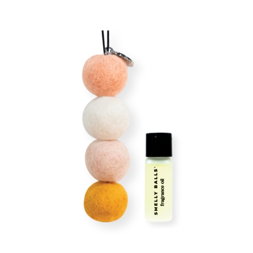 Smelly Balls Sun Seeker Coconut Lime 5mL Set Car Air Freshener - ARSBSSSDT