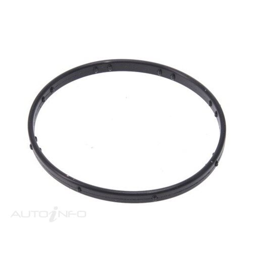 Fuel Injection Throttle Body Gasket