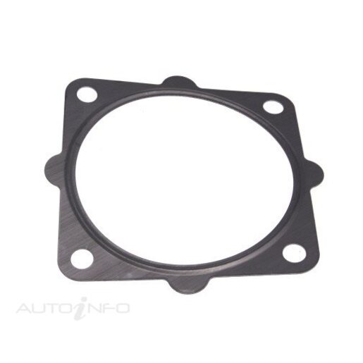 Fuel Injection Throttle Body Gasket