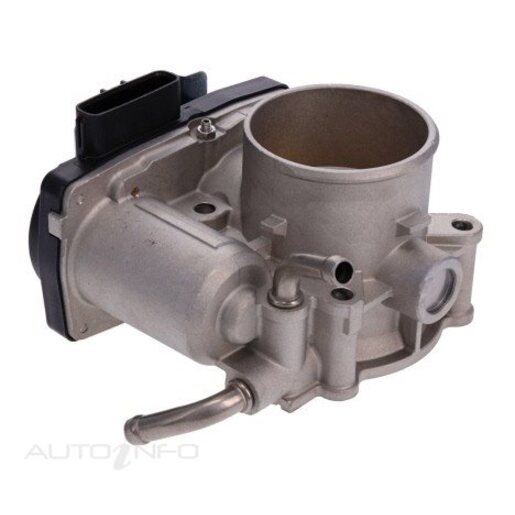 Fuel Injection Throttle Body