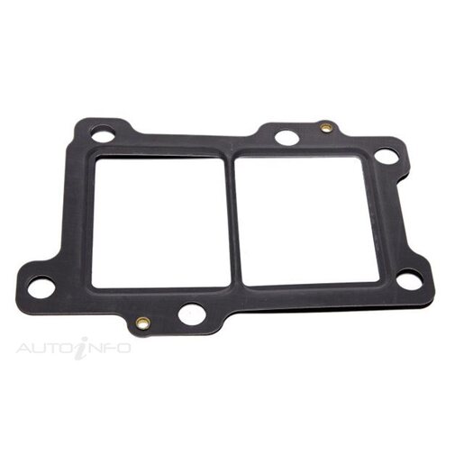 EGR Cooler Gasket