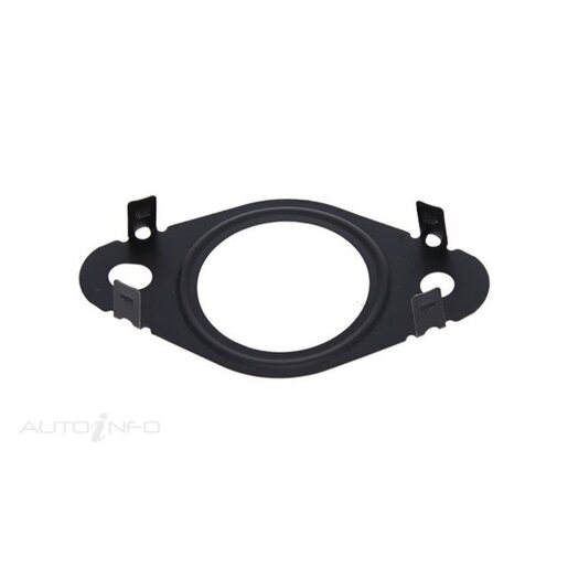 EGR Cooler Gasket