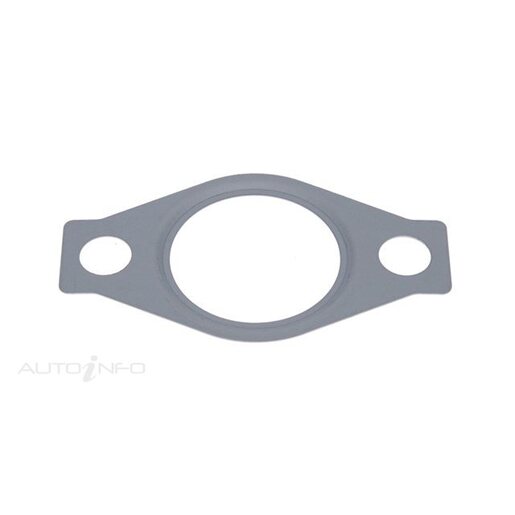 EGR Cooler Gasket