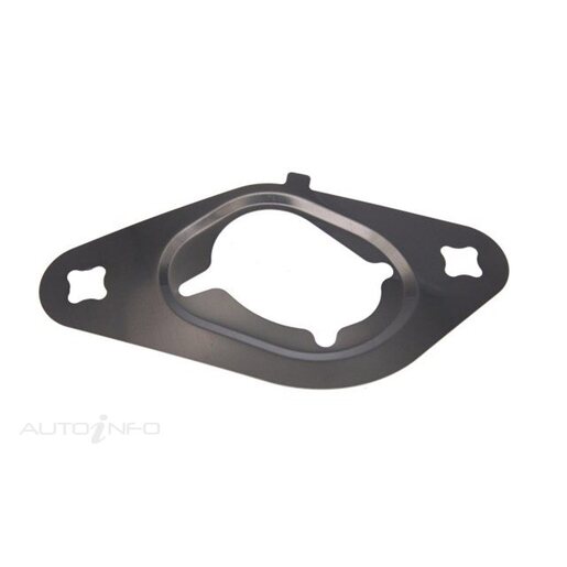 EGR Valve Gasket