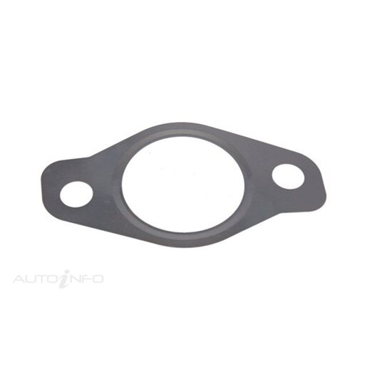 EGR Valve Gasket