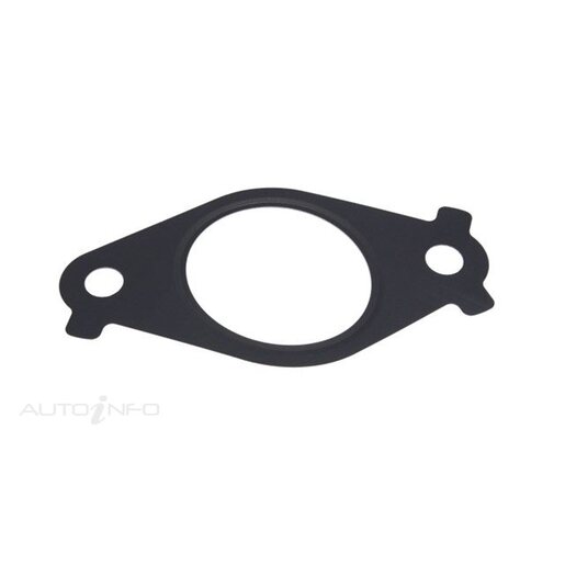 EGR Cooler Gasket