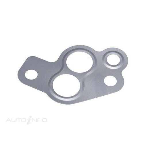 EGR Valve Gasket