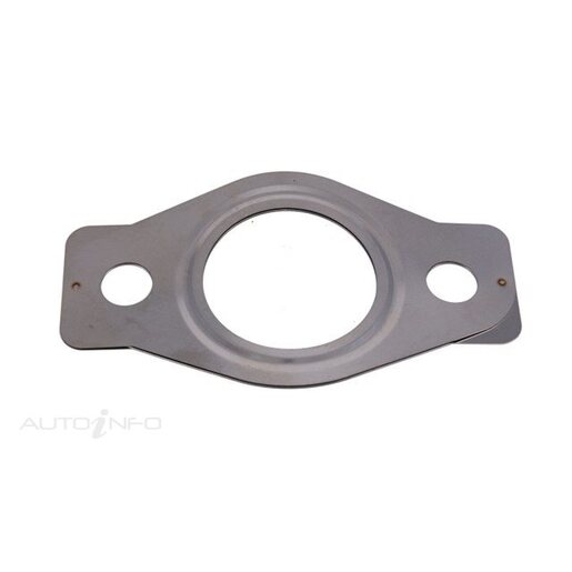 EGR Cooler Gasket