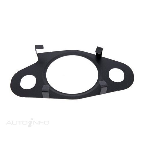 EGR Valve Gasket