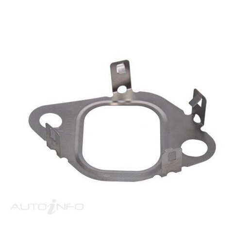 EGR Cooler Gasket