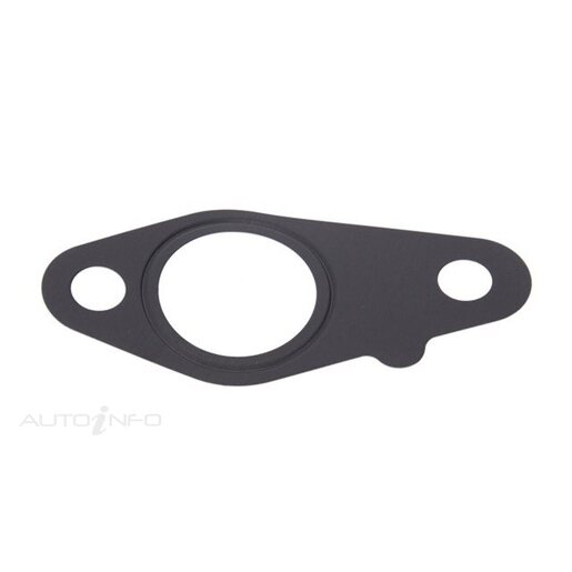 EGR Valve Gasket