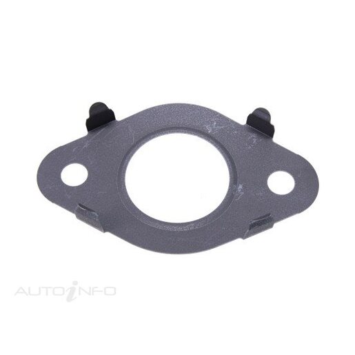 EGR Valve Gasket