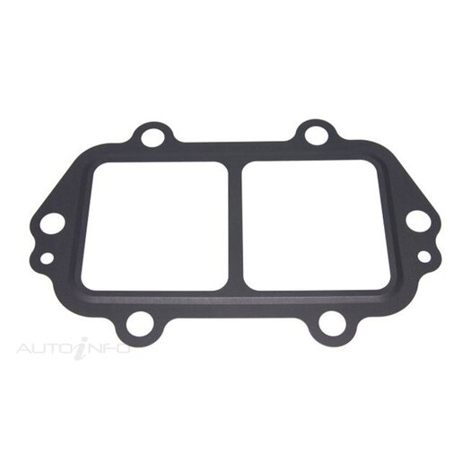 EGR Cooler Gasket