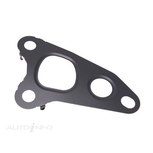 EGR Cooler Gasket