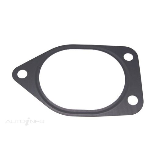 EGR Valve Gasket