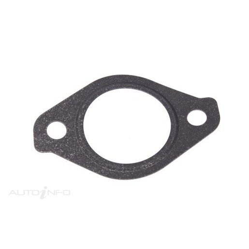 EGR Cooler Gasket