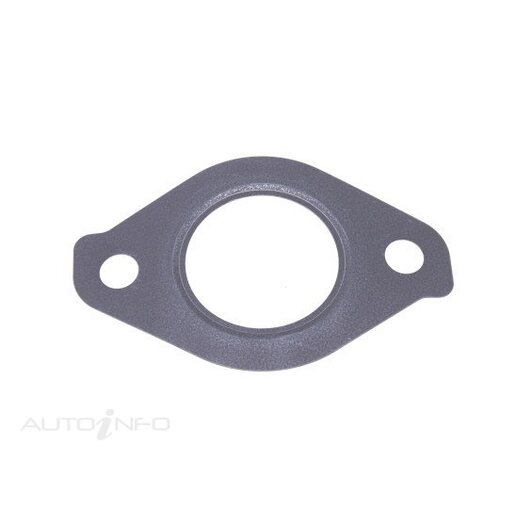 EGR Cooler Gasket