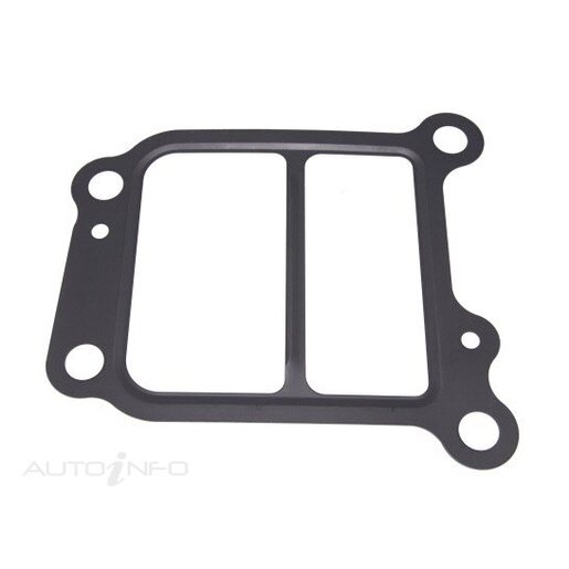 EGR Cooler Gasket