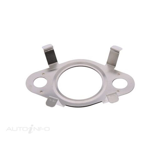 EGR Valve Gasket