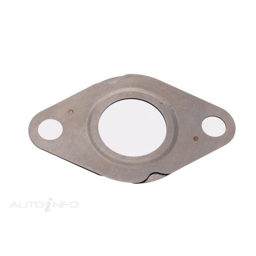 EGR Valve Gasket