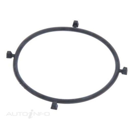 Fuel Injection Throttle Body Gasket