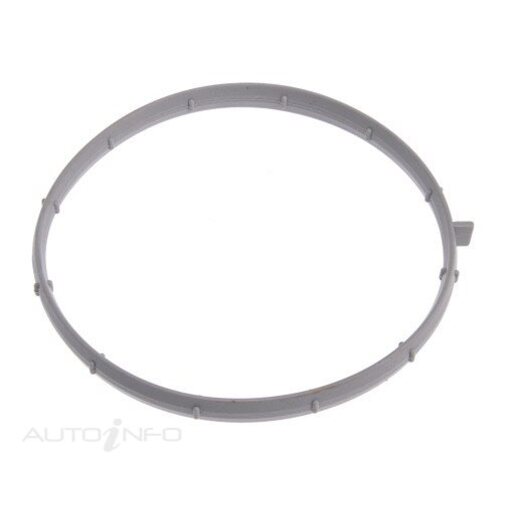 Fuel Injection Throttle Body Gasket