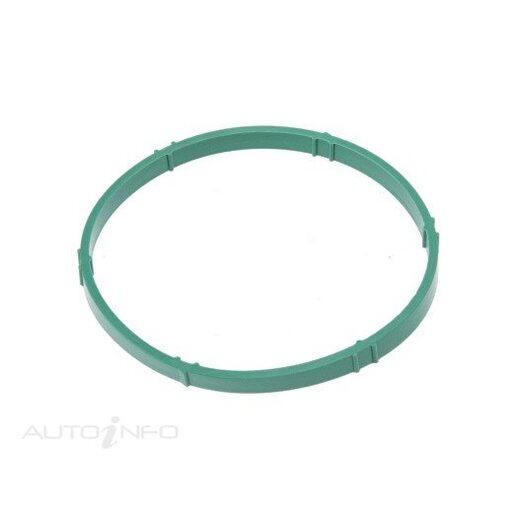 Fuel Injection Throttle Body Gasket