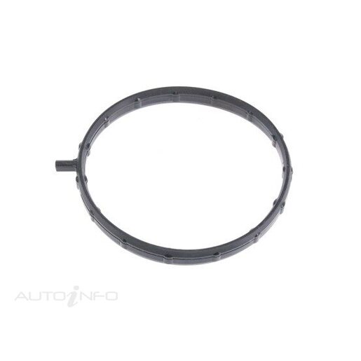 Fuel Injection Throttle Body Gasket