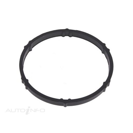 Fuel Injection Throttle Body Gasket