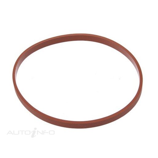 Fuel Injection Throttle Body Gasket