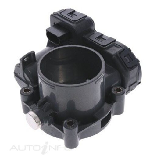 Fuel Injection Throttle Body