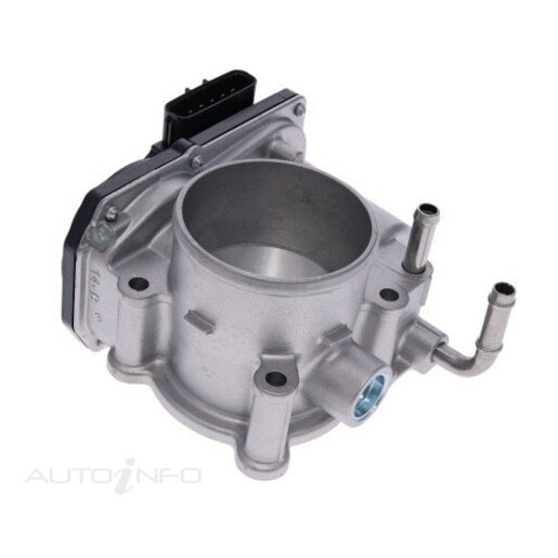 Fuel Injection Throttle Body