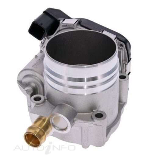 Fuel Injection Throttle Body