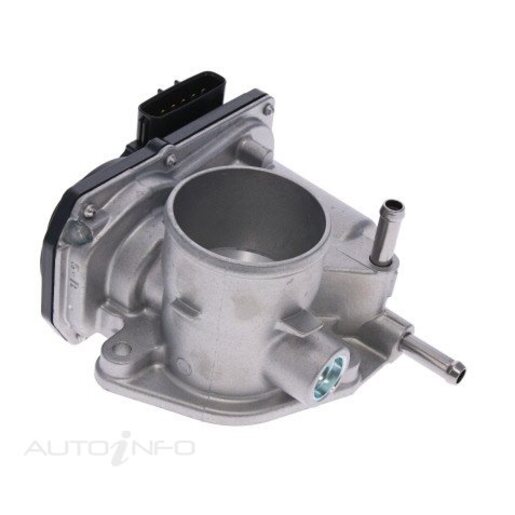 Fuel Injection Throttle Body