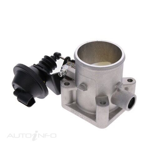 Fuel Injection Throttle Body