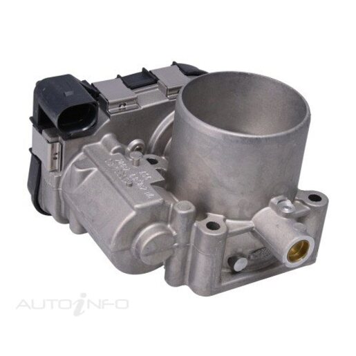 Fuel Injection Throttle Body
