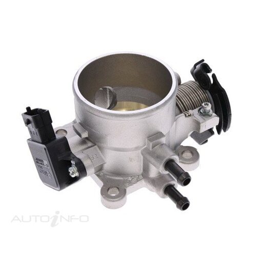 Fuel Injection Throttle Body