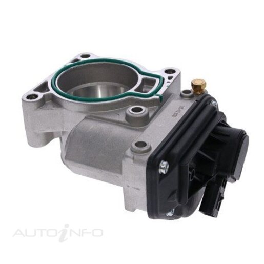 Fuel Injection Throttle Body