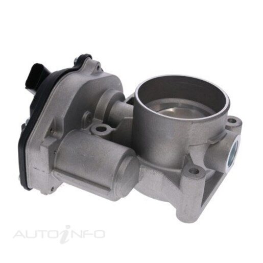 Fuel Injection Throttle Body