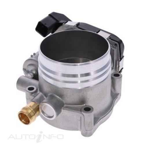 Fuel Injection Throttle Body