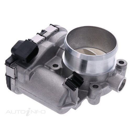 Fuel Injection Throttle Body