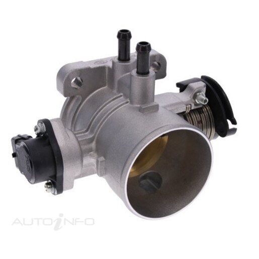 Fuel Injection Throttle Body