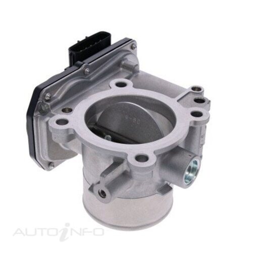 Fuel Injection Throttle Body