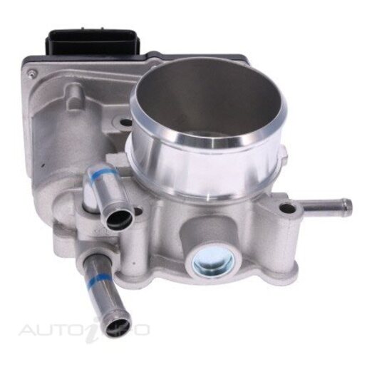 Fuel Injection Throttle Body